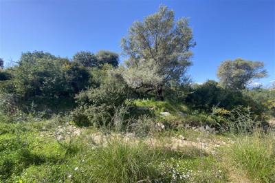 Meganisi LandwLicense3Houses04.jpg
